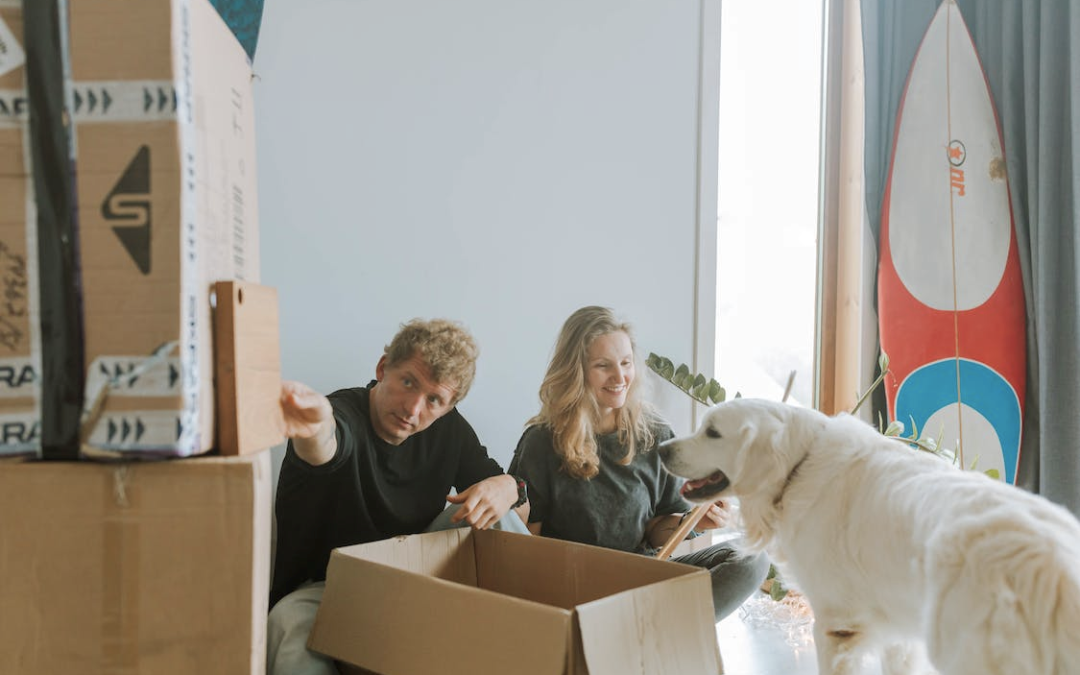 Stress-Free Moving for Your Beloved Animal Companions